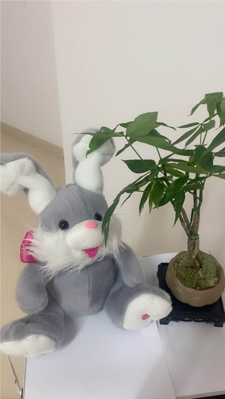 Мягкий зайчик 小兔 оптом от производителя